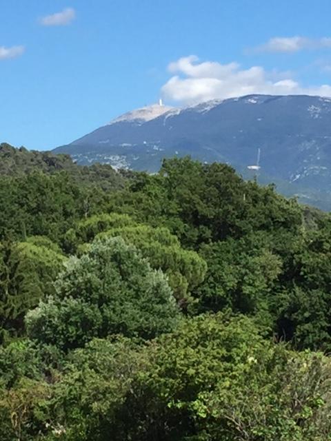 Villa Les Granges Vaison Saint-Marcellin-les-Vaison Ngoại thất bức ảnh